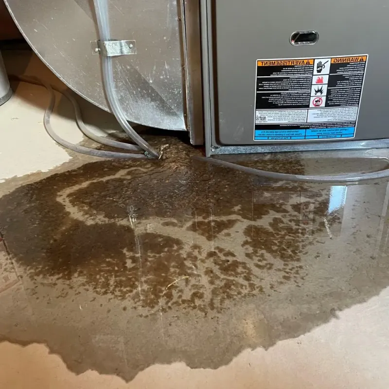Pipe Burst and Leak Restoration in Fort Wayne, IN